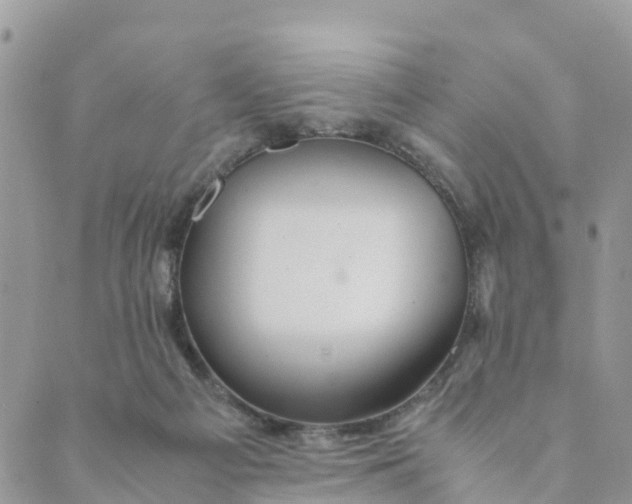 X0000089360121200707061059