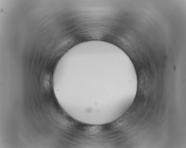 X0000089360122200707061059