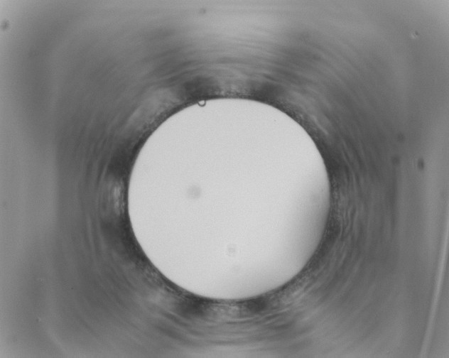 X0000089360123200707061059