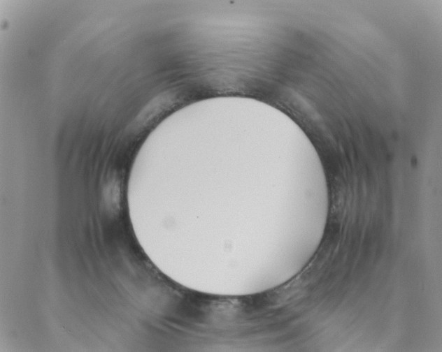 X0000089360124200707061059