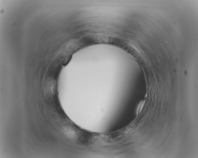 X0000089360125200707061059