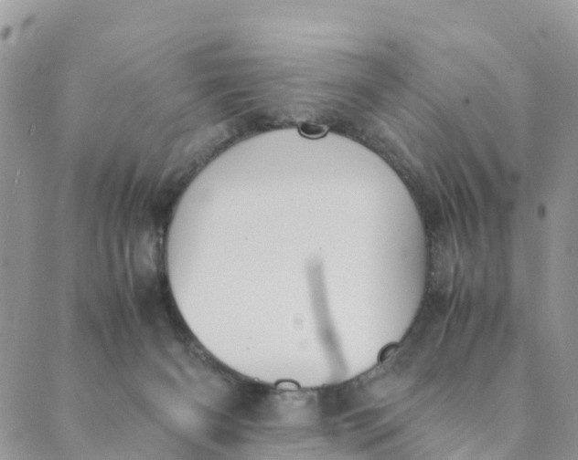 X0000089360126200707061059