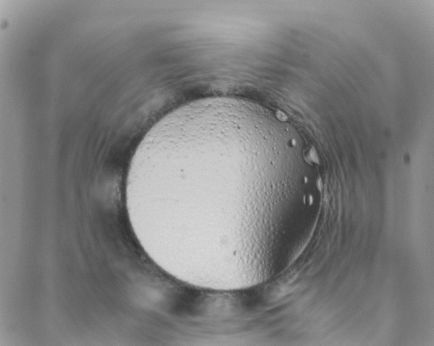 X0000089360127200707061059