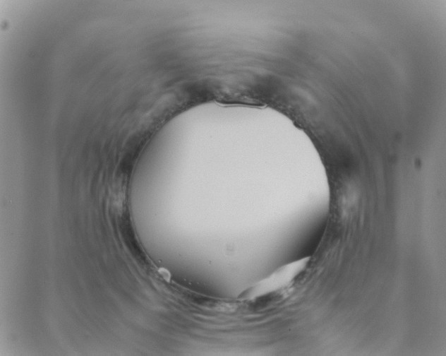 X0000089360129200707061059