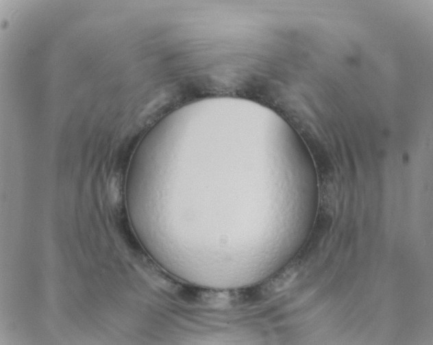 X0000089360131200707061059