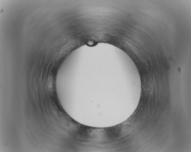 X0000089360132200707061059