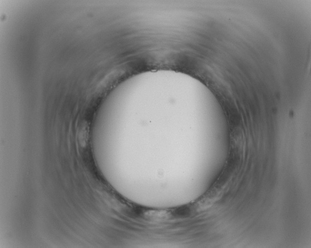 X0000089360133200707061059