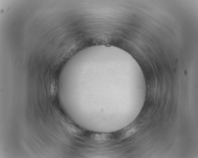 X0000089360134200707061059