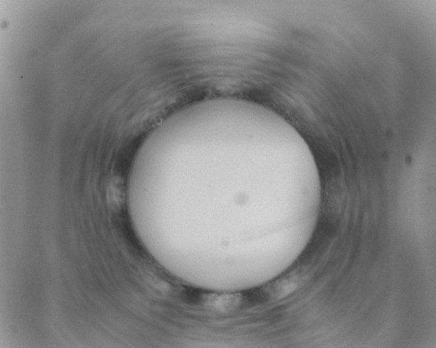 X0000089360135200707061059