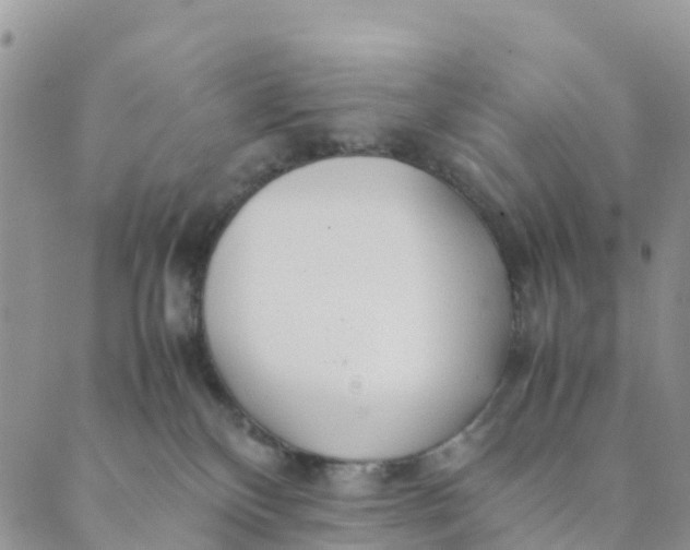 X0000089360136200707061059