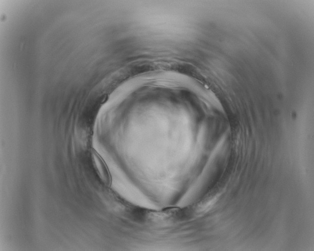 X0000089360139200707061059