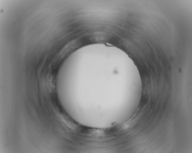 X0000089360140200707061059