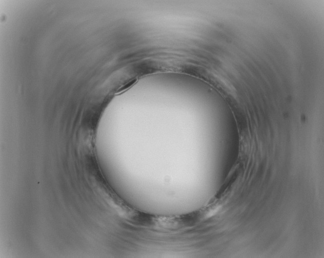 X0000089360141200707061059