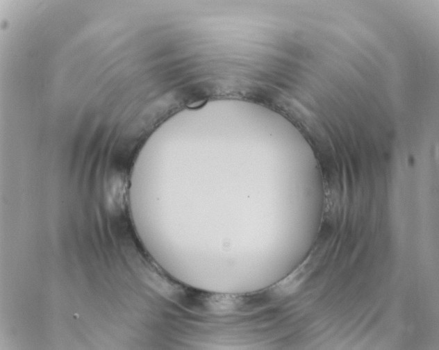 X0000089360142200707061058