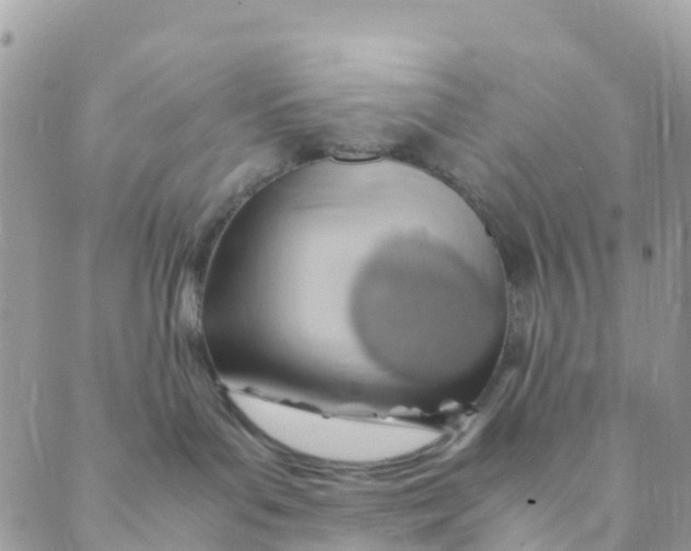 X0000089360143200707061058