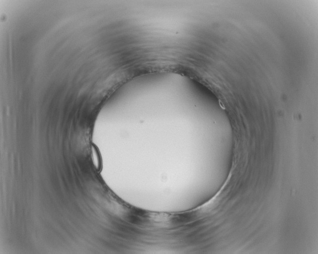 X0000089360144200707061058