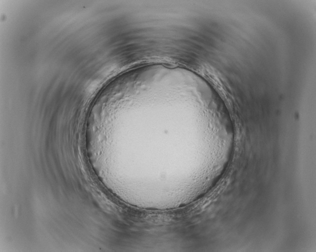 X0000089360145200707061058