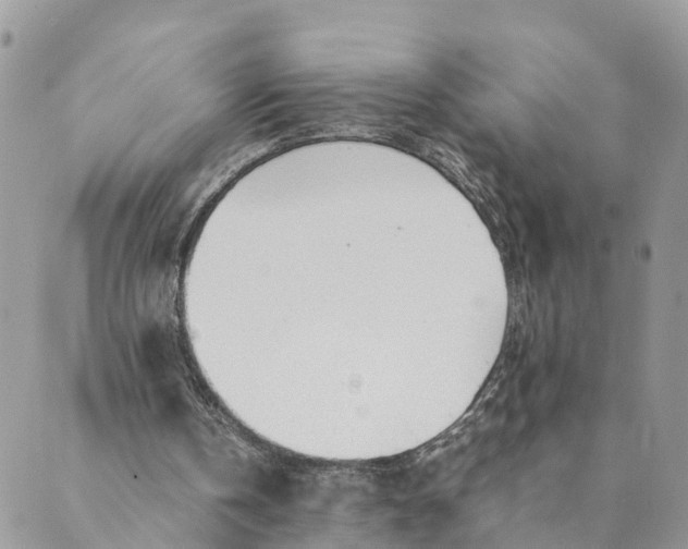 X0000089360146200707061058