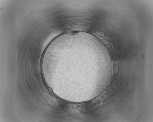 X0000089360147200707061058