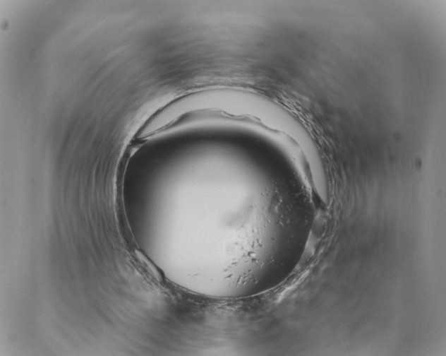 X0000089360148200707061058