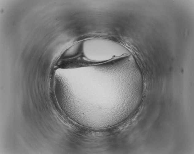 X0000089360149200707061058