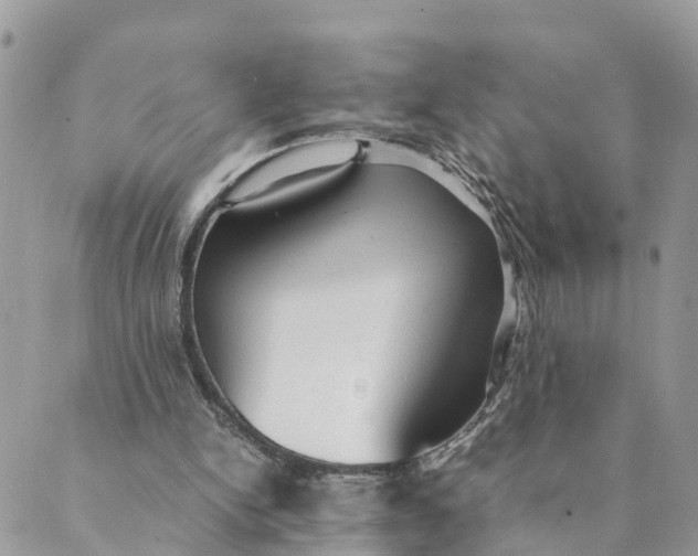 X0000089360150200707061058