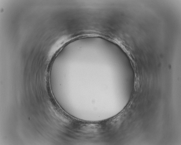 X0000089360151200707061058