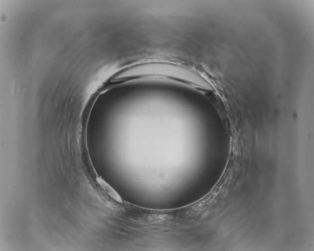 X0000089360152200707061058