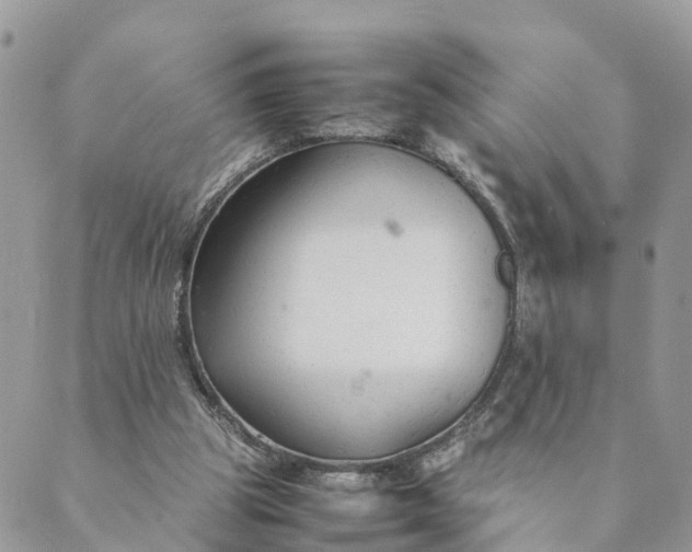 X0000089360153200707061058