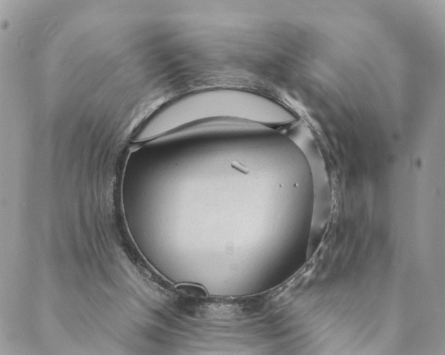 X0000089360154200707061058