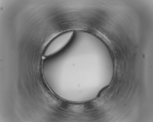 X0000089360155200707061058