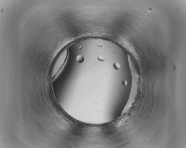 X0000089360156200707061058