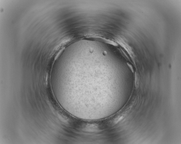 X0000089360157200707061058