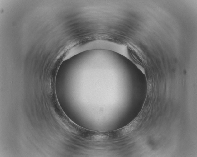 X0000089360158200707061058