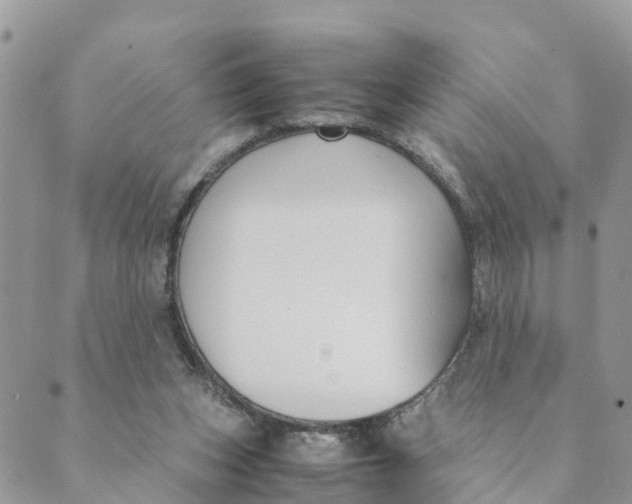 X0000089360159200707061058