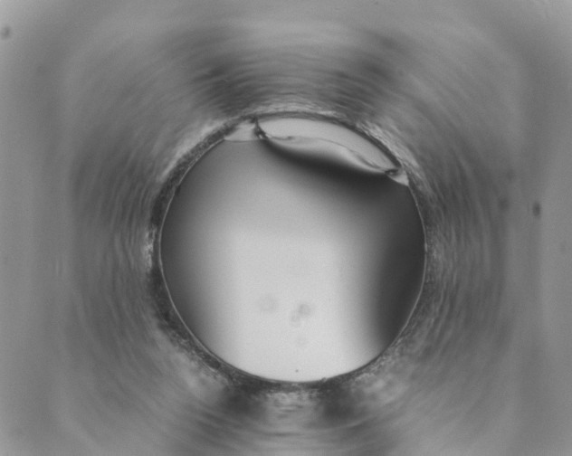 X0000089360160200707061058