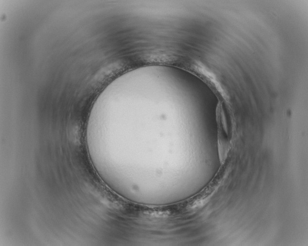 X0000089360161200707061058