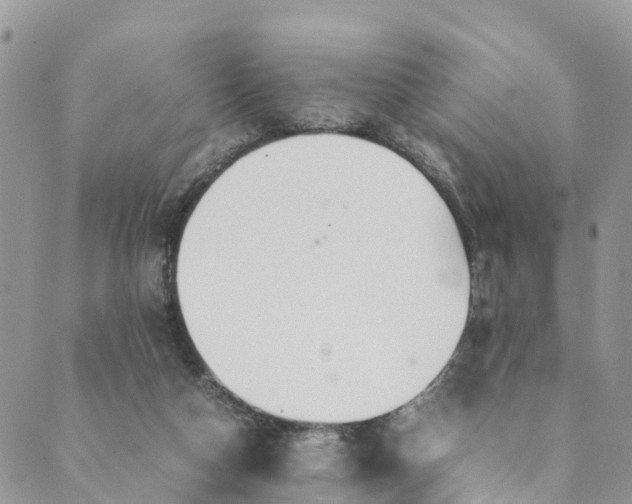 X0000089360162200707061058