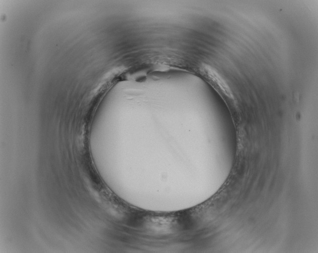 X0000089360163200707061058