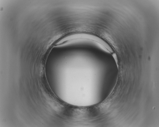 X0000089360164200707061058