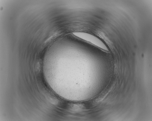 X0000089360165200707061058