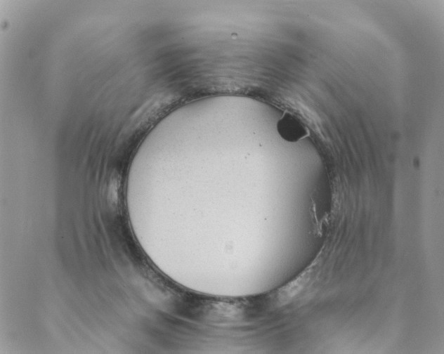 X0000089360166200707061058