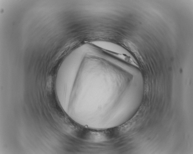 X0000089360167200707061058