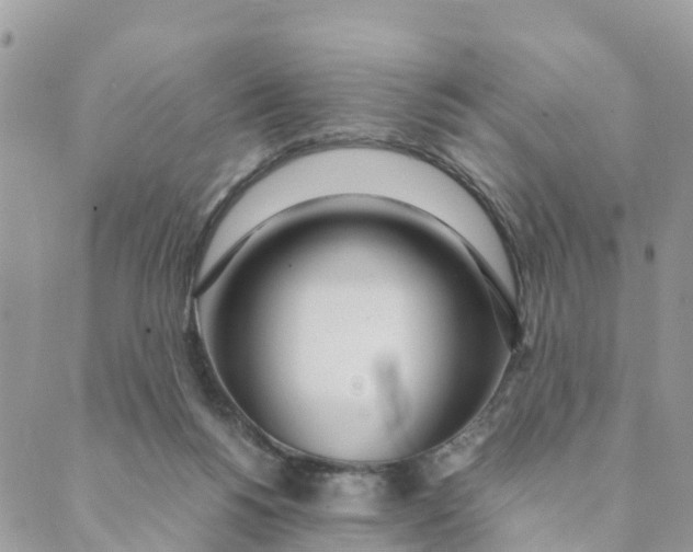 X0000089360168200707061058