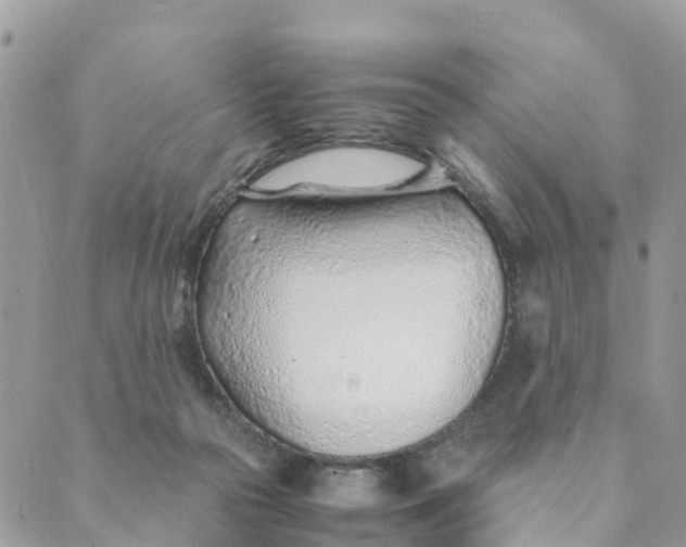 X0000089360169200707061058