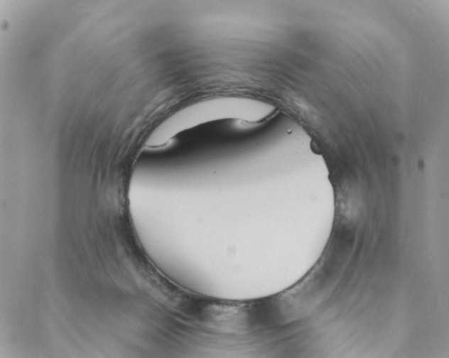 X0000089360170200707061058