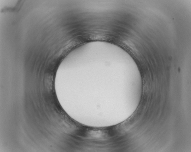 X0000089360171200707061058