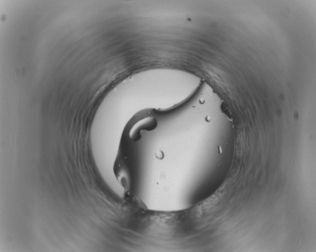 X0000089360172200707061058