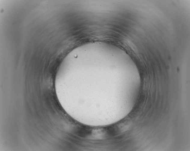 X0000089360173200707061058