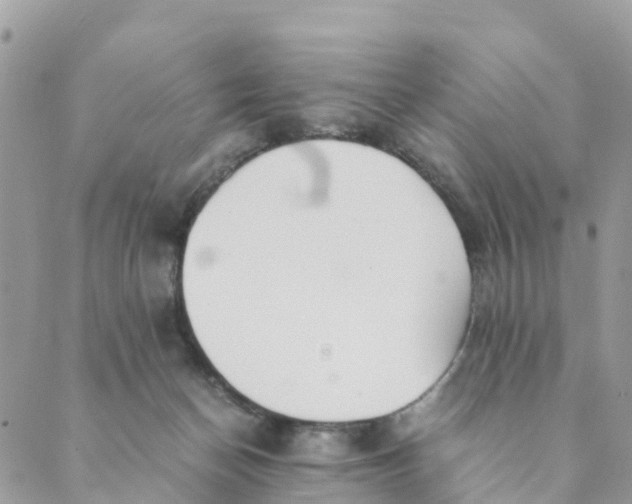 X0000089360174200707061058